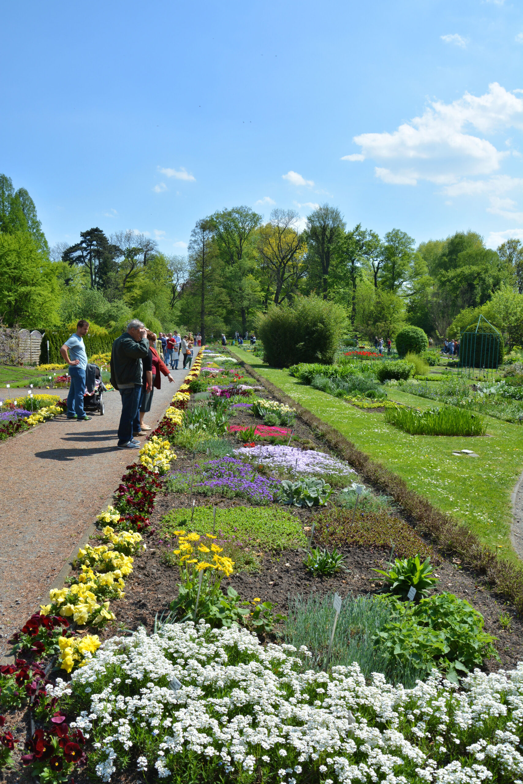 Botaniska tradgarden Krakow reseguide