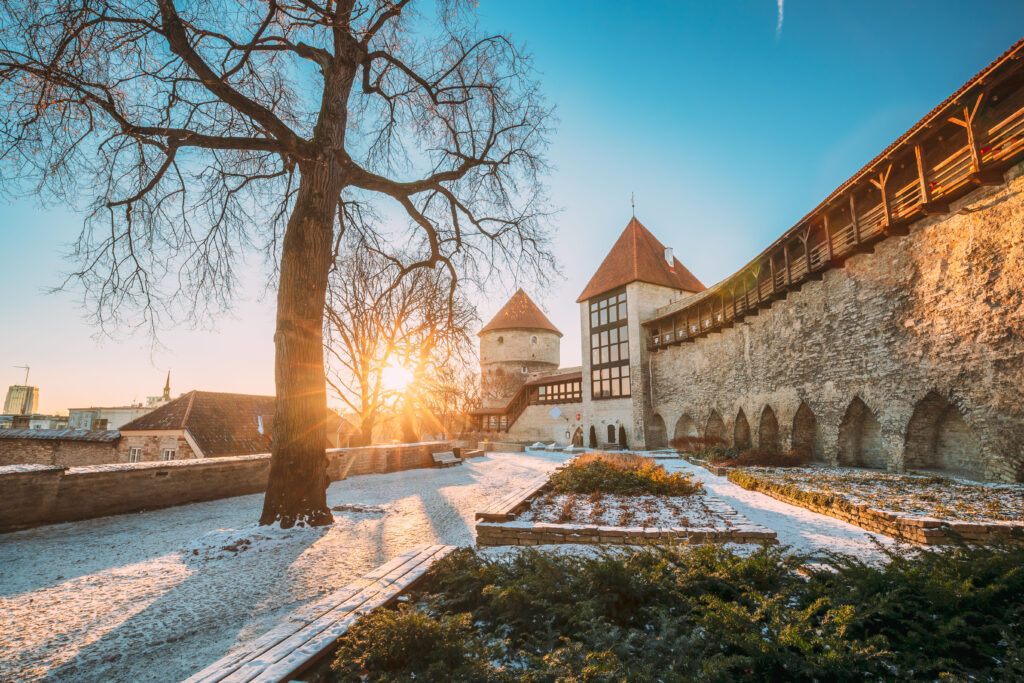 Tallinn vinter reseguide