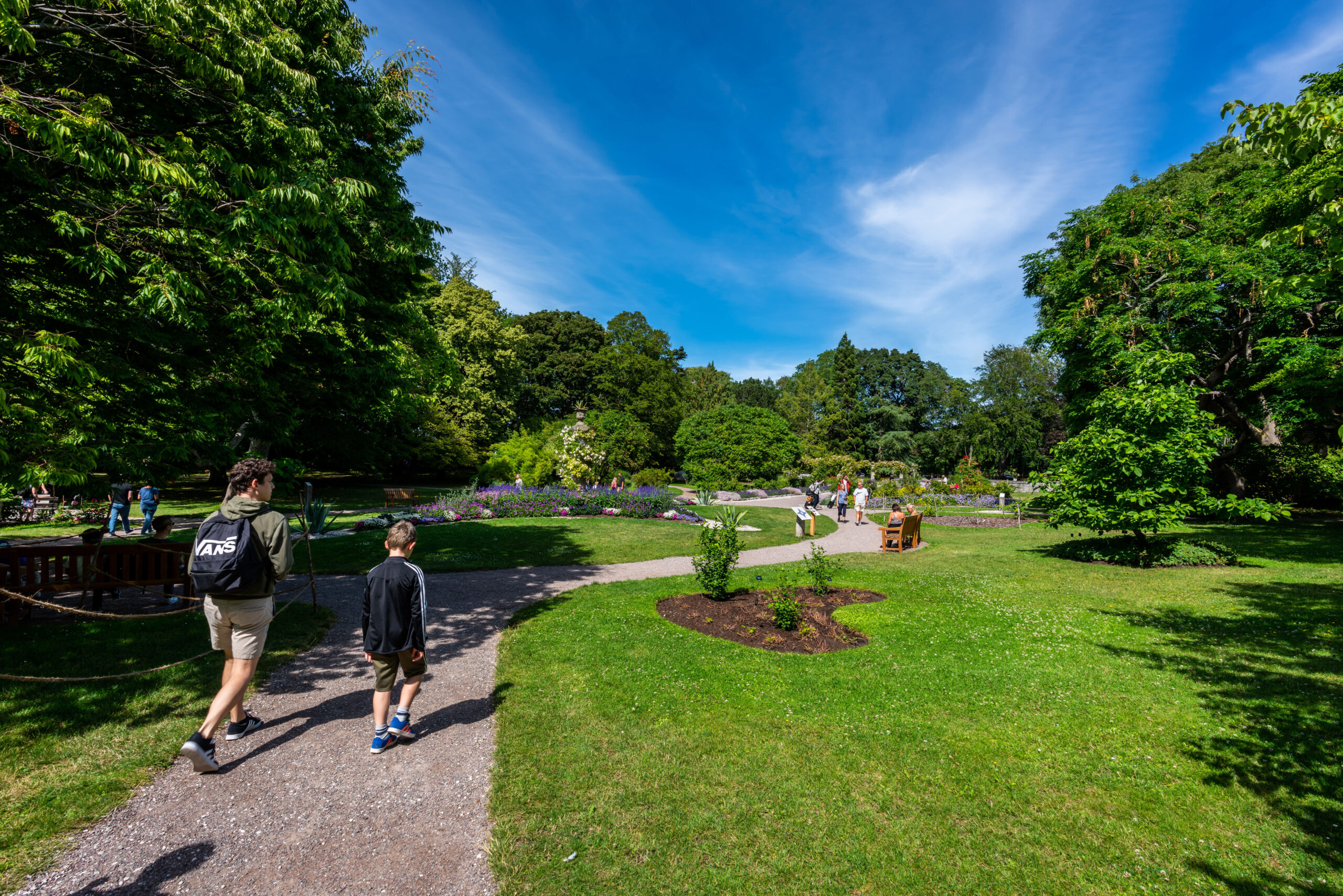 Gotland reseguide om sommaren