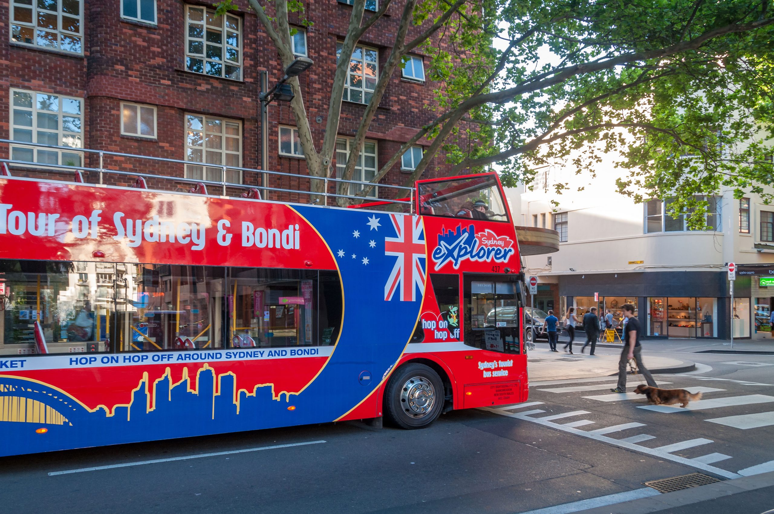 Kings Cross i Sydney - rekommenderade stadsdelar