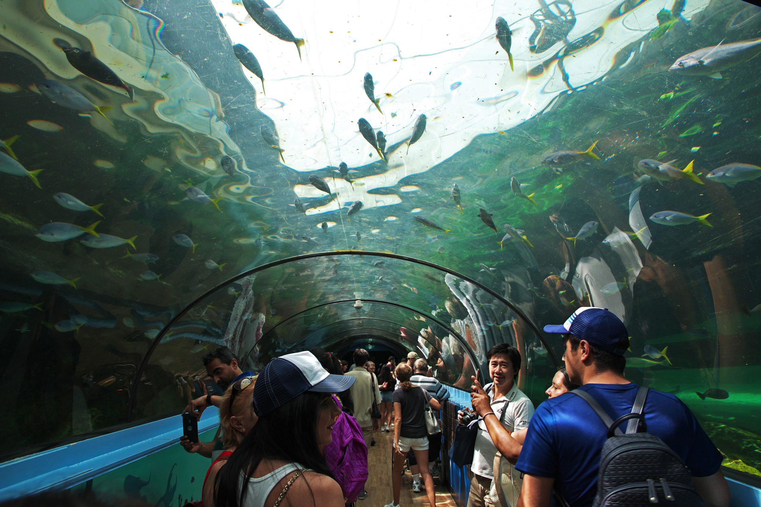 Sea Life Sydney Aquarium