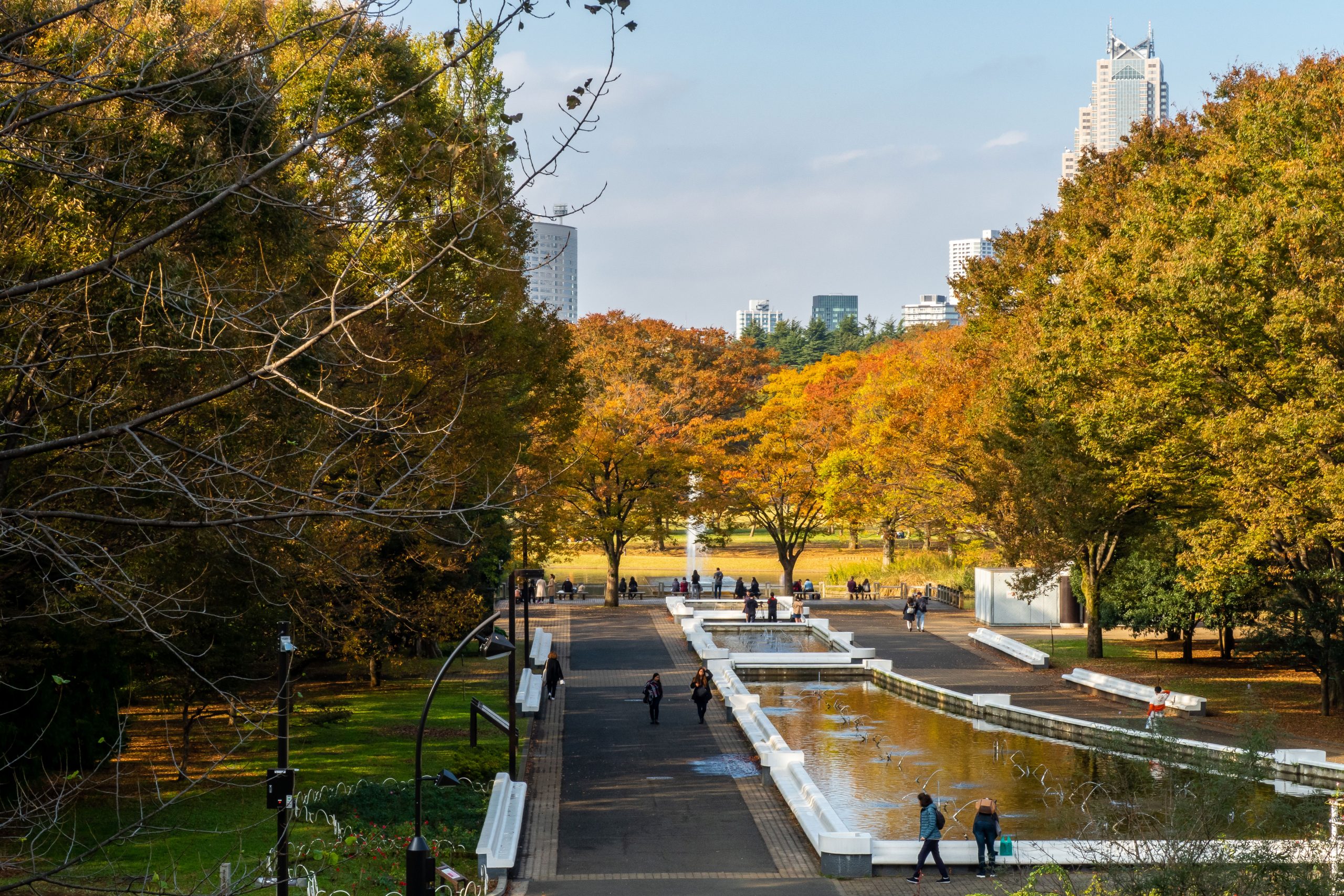 Spendera tid i Yoyogi Park - ultimata reseguiden for Tokyo