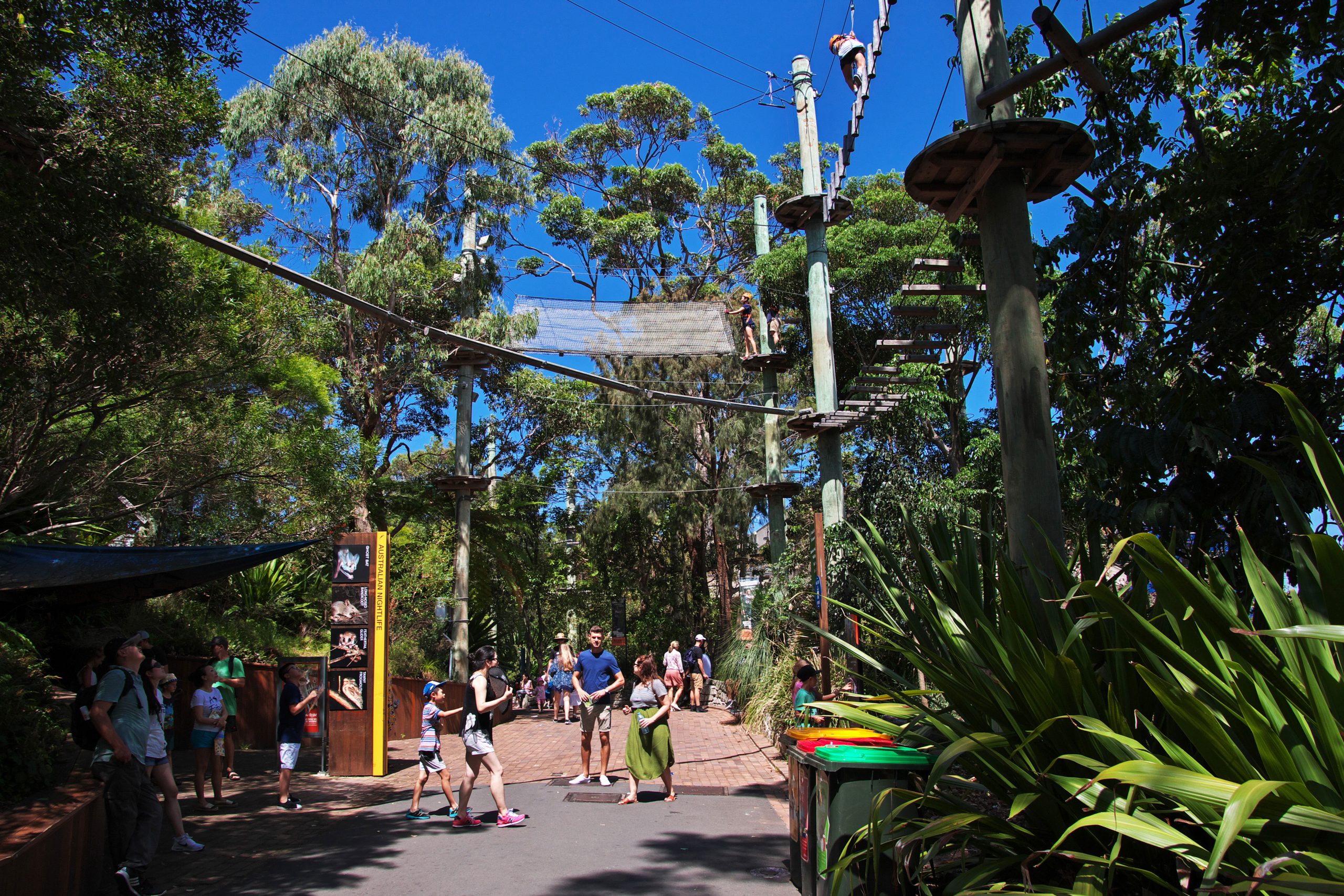 Ta en dag på Taronga Zoo i Sydney