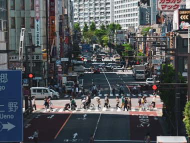 ultimata reseguiden för Tokyo