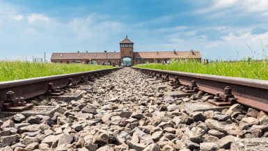 Viktiga upplevelser i Auschwitz Krakow