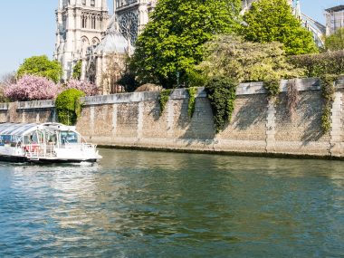 Seine kryssning