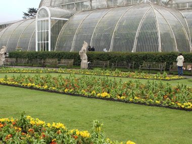 Upplev Kew Gardens i London