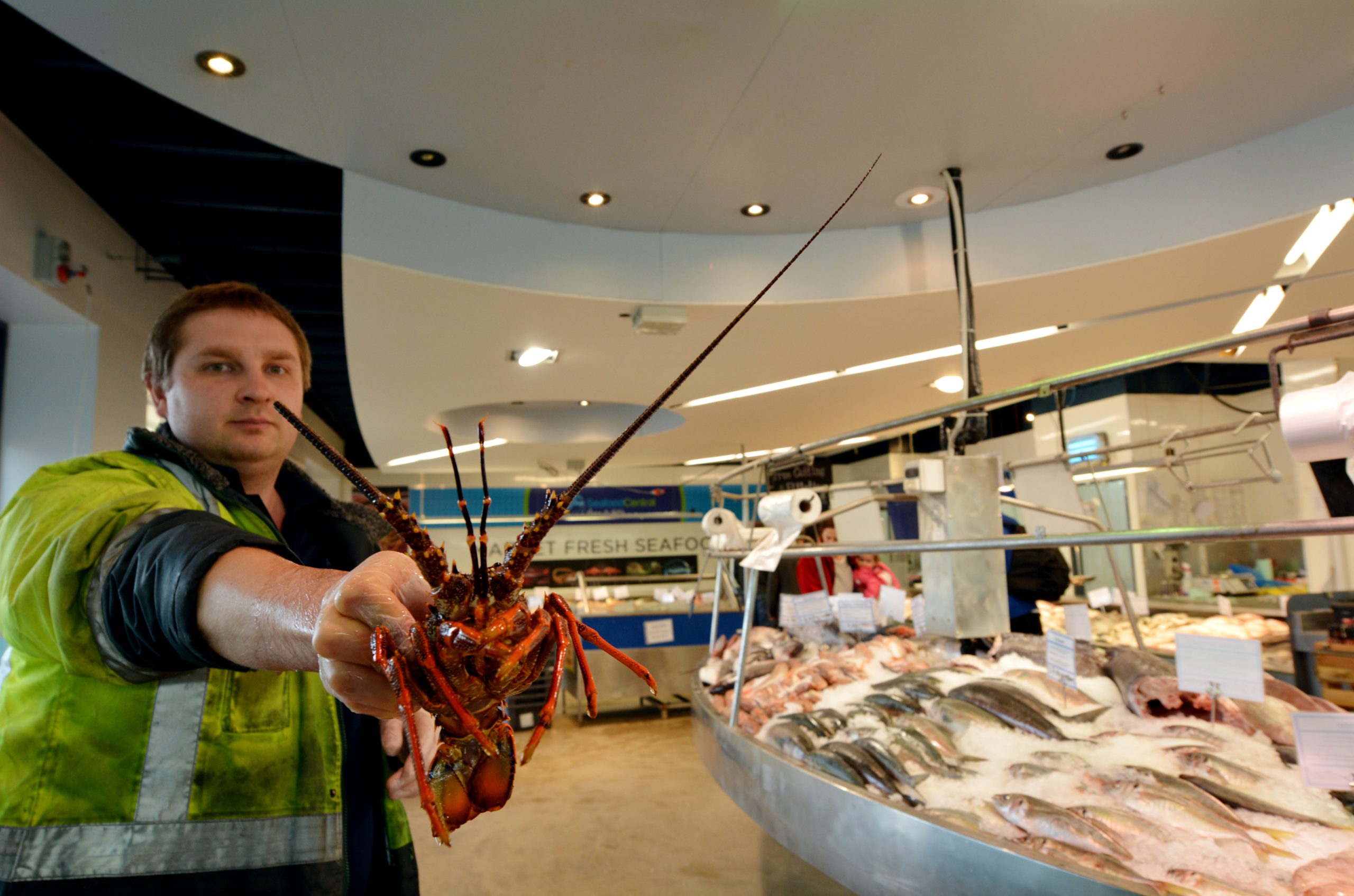 ultimata reseguiden Auckland fiskmarknad