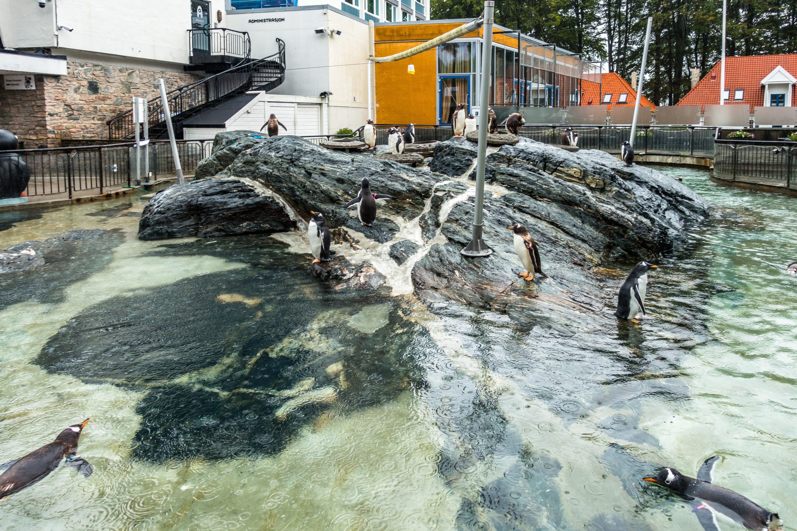 ultimata reseguiden Bergen akvarium